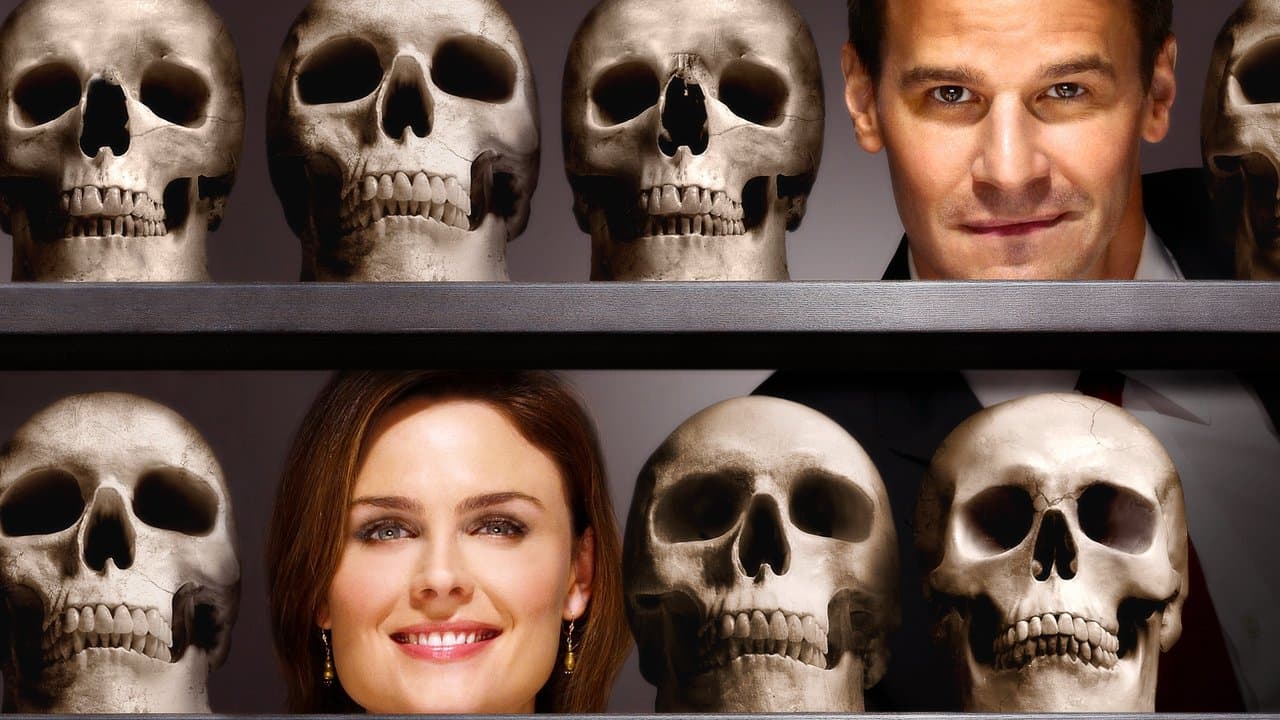 Bones - Affiche promotionnelle