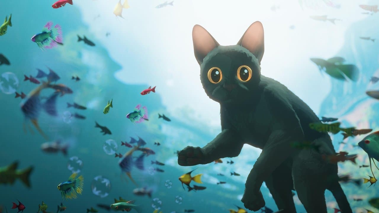 Flow, le chat qui n'avait plus peur de l'eau - Affiche promotionnelle