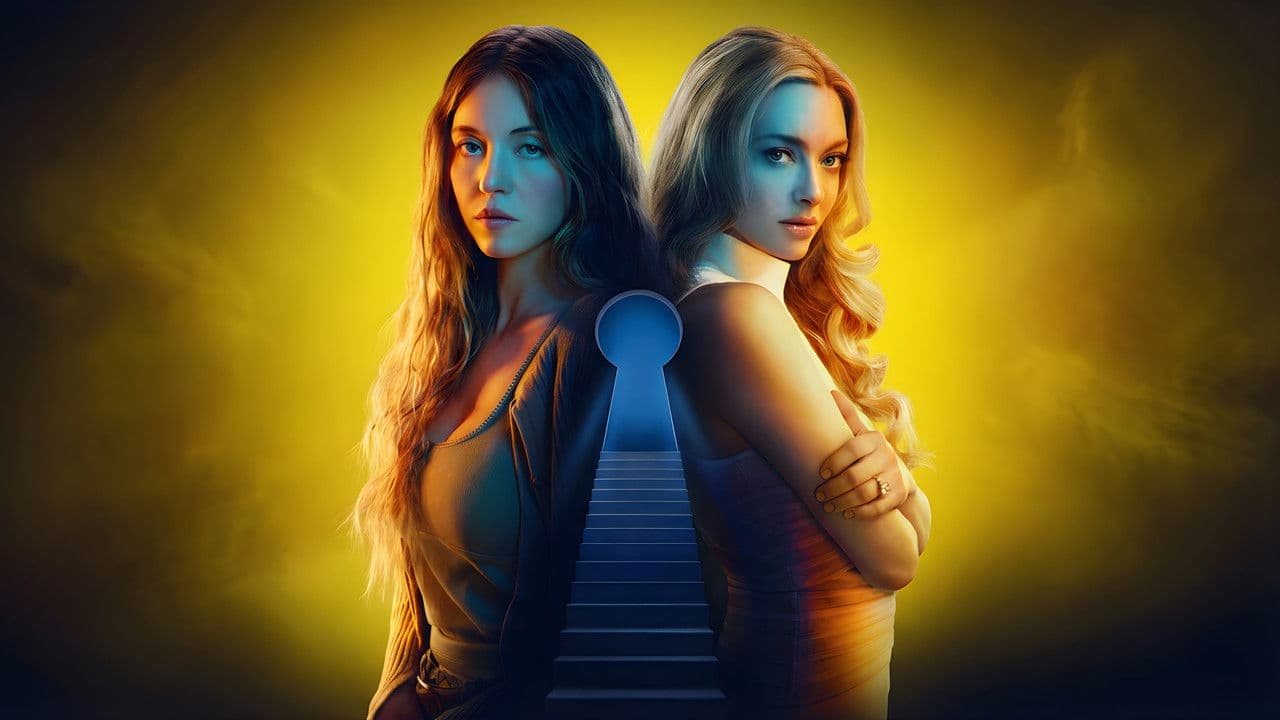 La Femme de ménage - Affiche promotionnelle