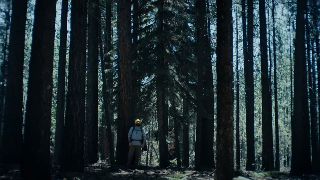 The Hidebehind - Affiche promotionnelle