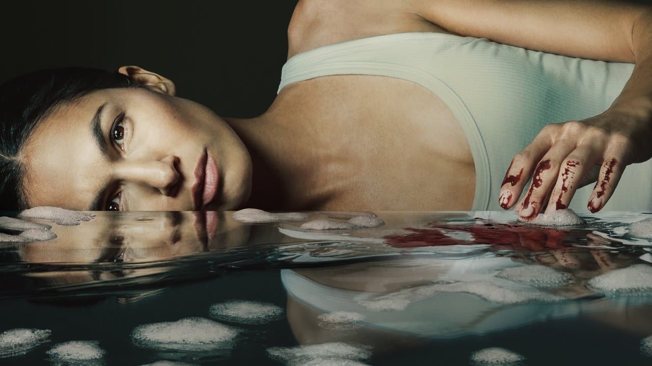 The Cleaning Lady - Affiche promotionnelle