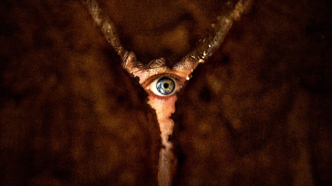 Retour à Silent Hill - Affiche promotionnelle