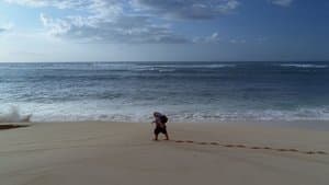 La loi des nombres - Image