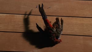 Au nom du fils - Image