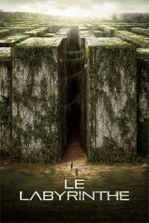 Le Labyrinthe - Poster