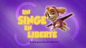 Un Singe en liberté - Image