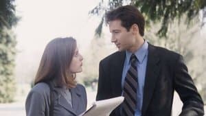 Nous ne sommes pas seuls - Image