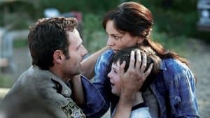 T’as qu’à discuter avec les grenouilles - Image