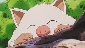 Une rencontre mouvementée - Image