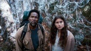 Oh, les endroits où nous irons - Image