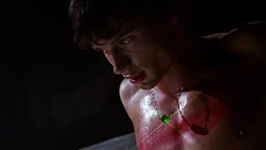 Bienvenue sur Terre - Image