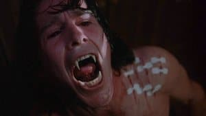 Métamorphose - Image