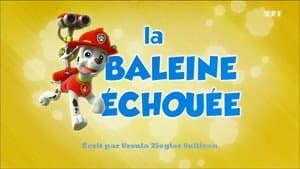 La Baleine échouée - Image