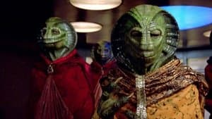 Le solitaire - Image