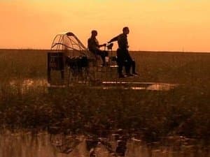 Plus dure sera la chute - Image