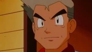 Amis malgré tout - Image