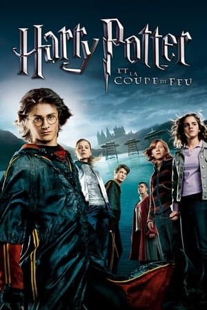 Harry Potter et la Coupe de feu - Poster