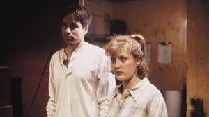 Projet Arctique - Image