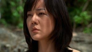 Regard vers l'ouest - Image