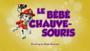 Le Bébé chauve-souris - Image