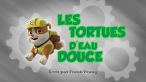 Les Tortues d'eau douce - Image