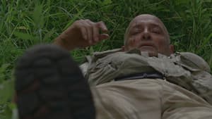 Les pieds sur terre - Image