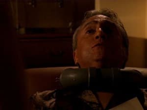 Apparences trompeuses - Image