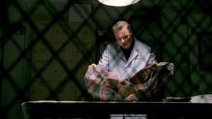 Quand les insectes parlent - Image