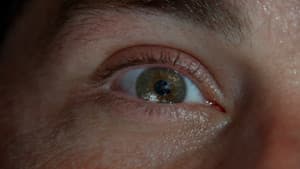 Le Réveil (1) - Image