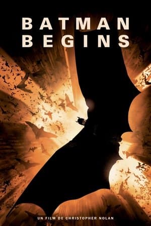 Batman Begins - Poster