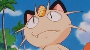 L'île des Pokémon tortues - Image