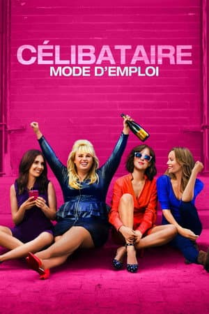 Célibataire, mode d'emploi - Poster
