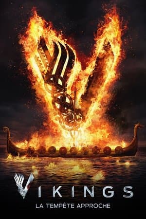 Vikings - Poster