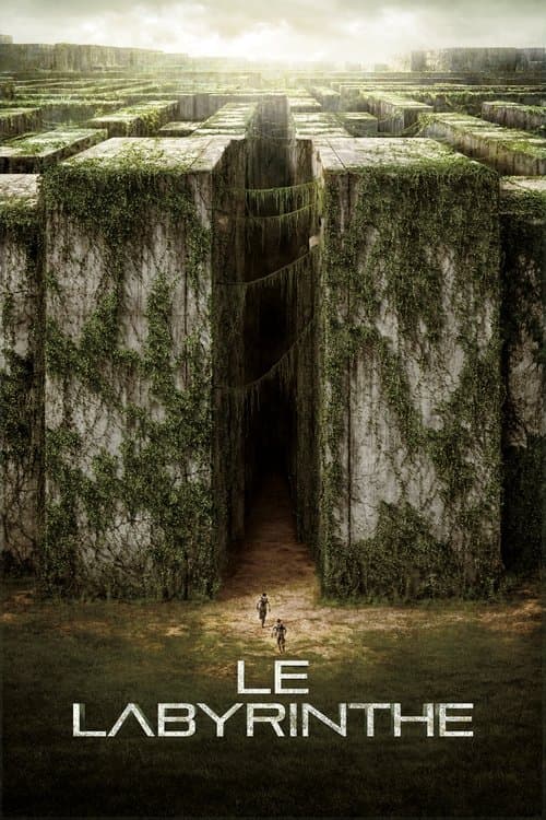 Le Labyrinthe - Poster