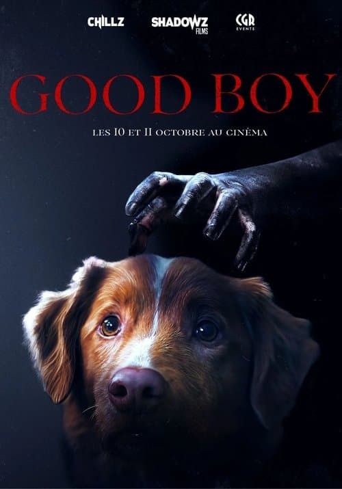 Good Boy - Poster