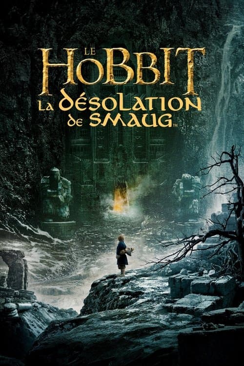 Le Hobbit : La Désolation de Smaug - Poster