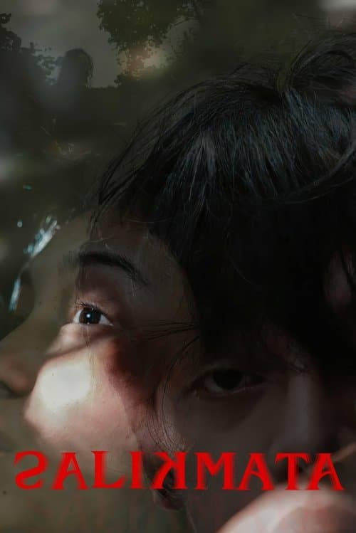 Salikmata - Poster