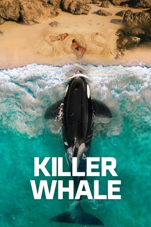 Killer Whale - Poster