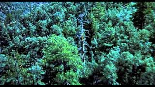 E.T. L'Extra-Terrestre (VF) - Bande Annonce - E.T. l'extra-terrestre