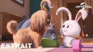 Comme des Bêtes 2 - Extrait : "Daisy demande de l'aide" VOST - Comme des bêtes 2