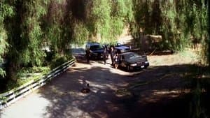 Sœurs jumelles - Image