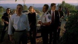 Meurtres au féminin - Image