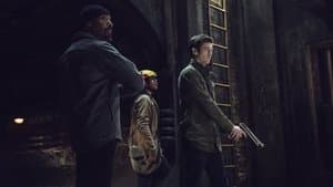 Grodd le gorille - Image