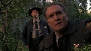 La Face cachée du Diable - Image